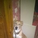 ���� ������, �����������, 45 ��� - ��������� 12 ������� 2015 � ������ ���� ����������