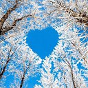 ���� �����, ���� - ��������� 30 ������� 2015 � ������ ������ ��������