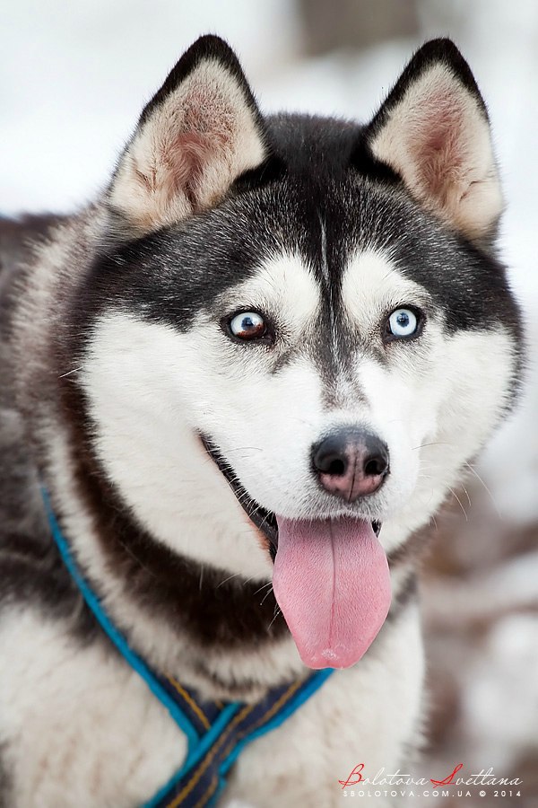 ������ ������ - 28 �������� 2015 � 21:05