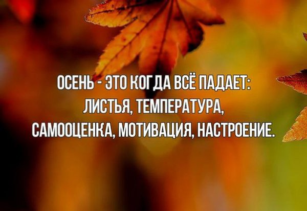    :-) - 24  2015  13:04