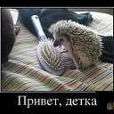 ���� ������, ����������, 70 ��� - ��������� 6 ����� 2016 � ������ ���-���������