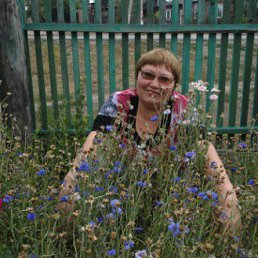 ���� ������, �����, 62 ���� - ��������� 24 ������ 2015