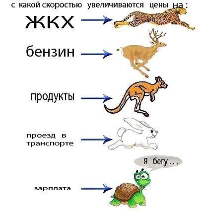   - 1  2015  21:31