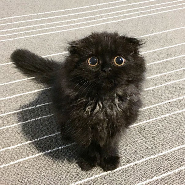     - !      :) - 2