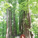 ���� �����, ������������ - ��������� 7 ������� 2016 � ������ ������������. ��������. �����-������� ��. �.�. �������.�