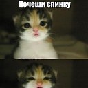 ���� �����, ��������, 27 ��� - ��������� 2 ������ 2015 � ������ ���� ����������