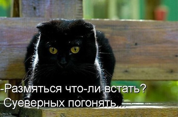       - 2  2015  15:33