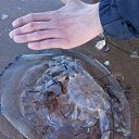 ���� ����, �����-���������, 47 ��� - ��������� 27 ������� 2016 � ������ ������ ��������