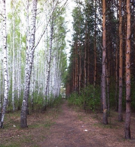    2 :