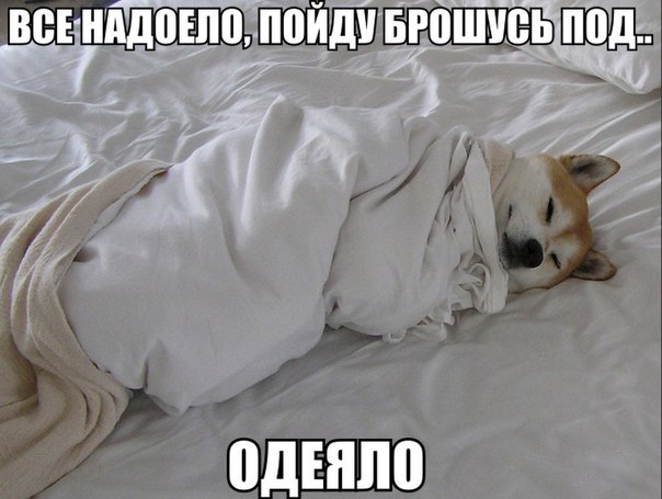    :-) - 27  2016  22:01