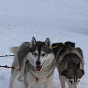  , , 69  -  8  2016   .  