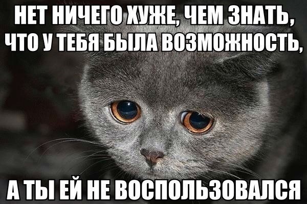    :D - 12  2015  03:03