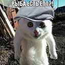 ���� �����, �����, 57 ��� - ��������� 12 ������� 2015 � ������ ������ ��������