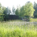 ���� ������, ����������-���������, 44 ���� - ��������� 31 ������� 2015 � ������ ����������