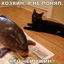 ���� �����, �����������, 30 ��� - ��������� 30 ������ 2015 � ������ ���� ����������