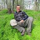 ���� �������, ���������, 61 ��� - ��������� 22 ������ 2015 � ������ ���� ����������