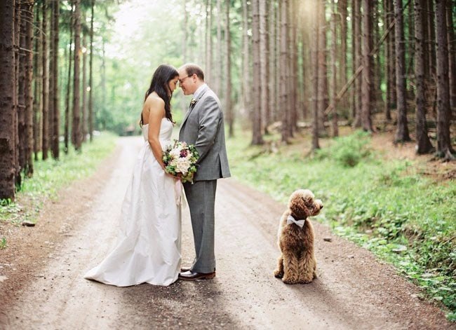     ! #wedding_decor@https://fotostrana.ru/away?to=/sl/XE2 - 4