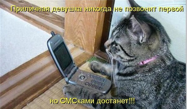   - 15  2015  13:51