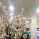 ���� �����, ��������� - ��������� 1 ������ 2016 � ������ ���� ����������