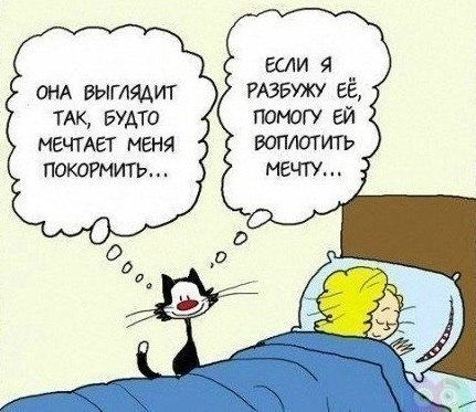       - 5  2015  17:31