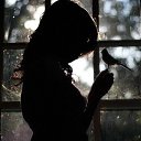 ���� �������, ������� - ��������� 8 ����� 2016 � ������ ���� ����������