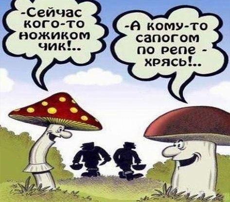  - 20  2015  17:42