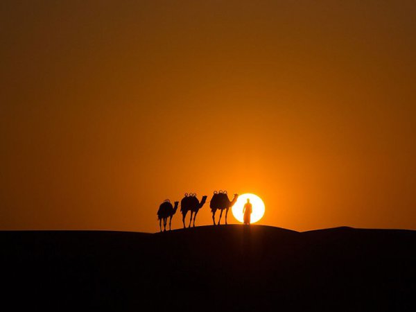 В объективе лучшие фотографии августа 2015-го от журнала National Geographic и National Geographic ... - 2