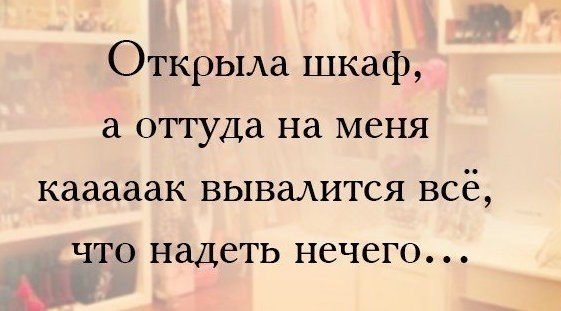   |  |  - 19  2015  15:20