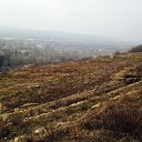  ,  -  17  2016   iOS Photos
