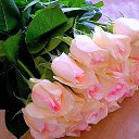 ���� �������, �����, 64 ���� - ��������� 14 ������� 2015 � ������ ������ ��������