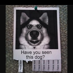 ���� �����, �����-���������, 34 ���� - ��������� 16 ������� 2015