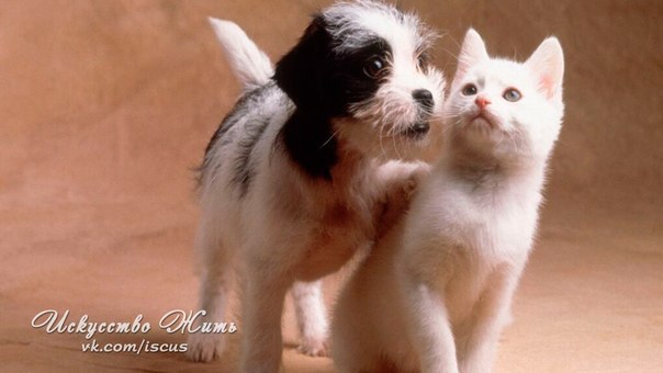 ,    - ,  - ...    , , , ...