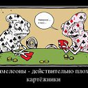  Wlad, , 51  -  1  2016    