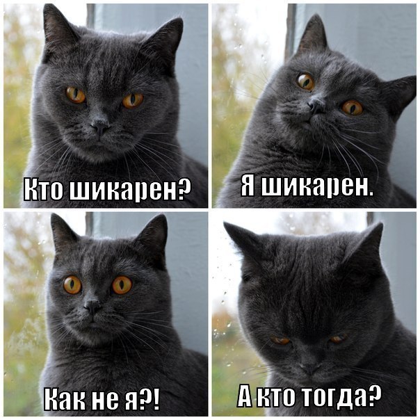   - 1  2016  21:59