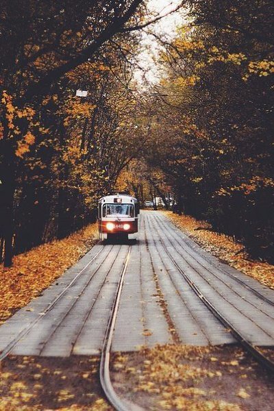 Неважно как сильно ты хочешь наладить отношения, если одной стороне плевать, то все будет катиться ... - 4