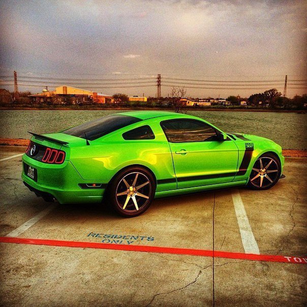  https://fotostrana.ru/away?to=/sl/KiI2 Green 2013 Turbo Boss 302  Mustang Red 2012 GT 500. - 5