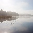 ���� �������, �����, 62 ���� - ��������� 5 ������� 2015 � ������ ���� ����������
