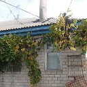 ���� ���������, �����, 58 ��� - ��������� 4 ������� 2015 � ������ ���� ����������