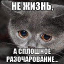 ���� ����, ������ - ��������� 9 ������� 2015 � ������ ������ ��������