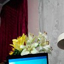 ���� ������, ���������, 62 ���� - ��������� 30 ������ 2015 � ������ ���� ����������