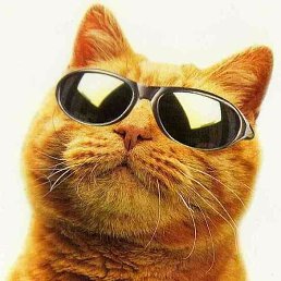 ���� ������, ������, 23 ���� - ��������� 8 ������� 2015