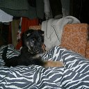  ,  -  3  2016        !!!