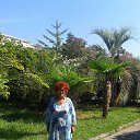 ���� �����, ������������ - ��������� 7 ������� 2016 � ������ ��������.�