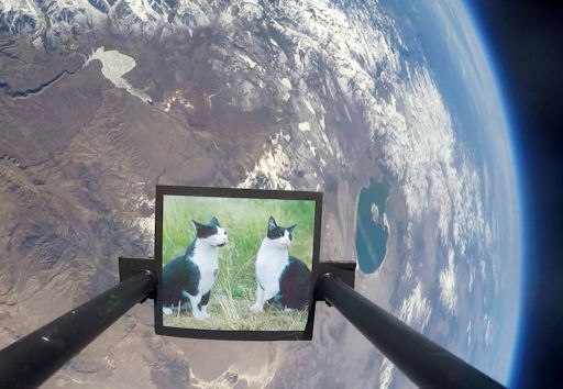 Фотография кошек на стратостате по измерению космических лучей. Высота 35 км над Землей