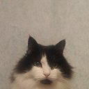 ���� �������, �����-���������, 51 ��� - ��������� 6 ������� 2016