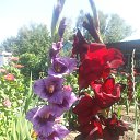 ����� �� ���� �� ������� ���� ����������