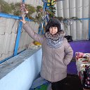 ������� ������� ���� �� ������� �� ������� ���� ����������