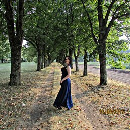 ���������, ����������