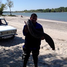 ���� ������, �����-���������, 39 ��� - ��������� 4 ������ 2016