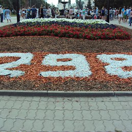 ���� �������, �����������, 66 ��� - ��������� 24 ������� 2015